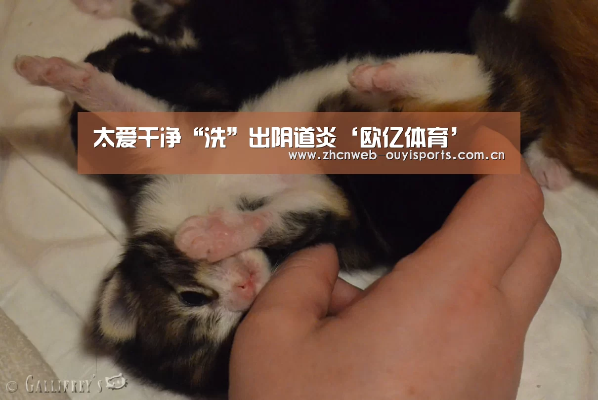欧亿体育集团