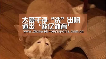 欧亿体育