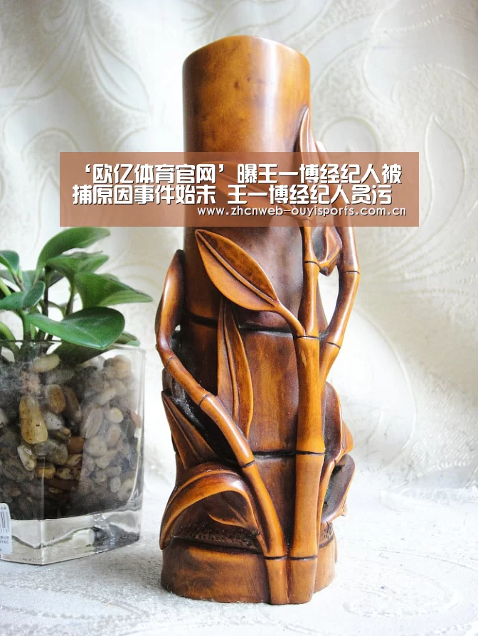 欧亿体育公司